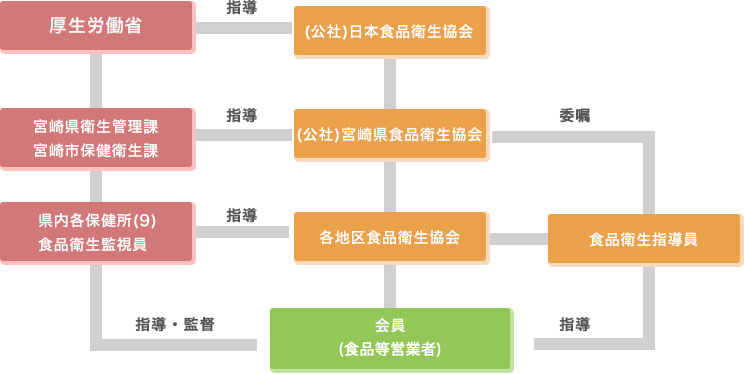 (公社)日本食品衛生協会 指導 厚生労働省 (公社)宮崎県食品衛生協会 指導 宮崎県衛生管理課 宮崎市保健衛生課 各地区食品衛生協会 指導 県内各保健所(9)食品衛生監視員 会員 (食品等営業社、食品衛生責任者) 指導・監督 各地区食品衛生協会